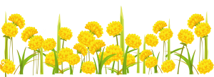 Dandelion PNG-12859